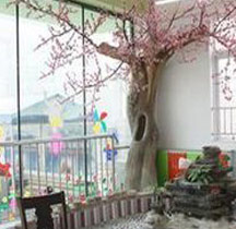 北京大风车双语幼儿园加盟连锁