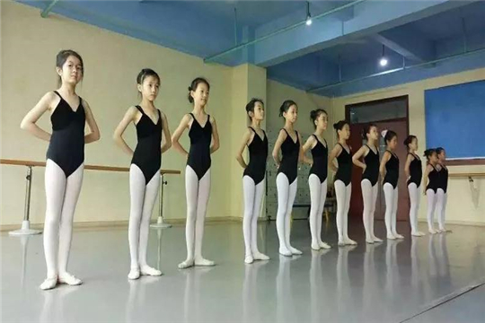 舞之韵艺术培训学校加盟