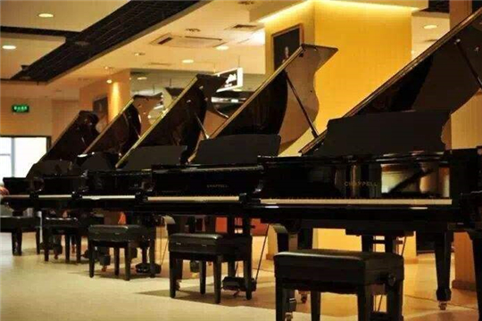 小飞象国际高端钢琴学校加盟