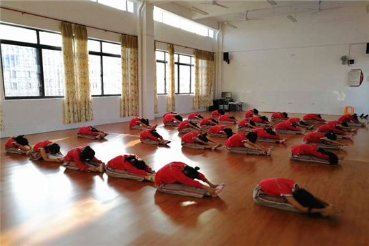 舞之韵艺术培训学校加盟学员锻炼